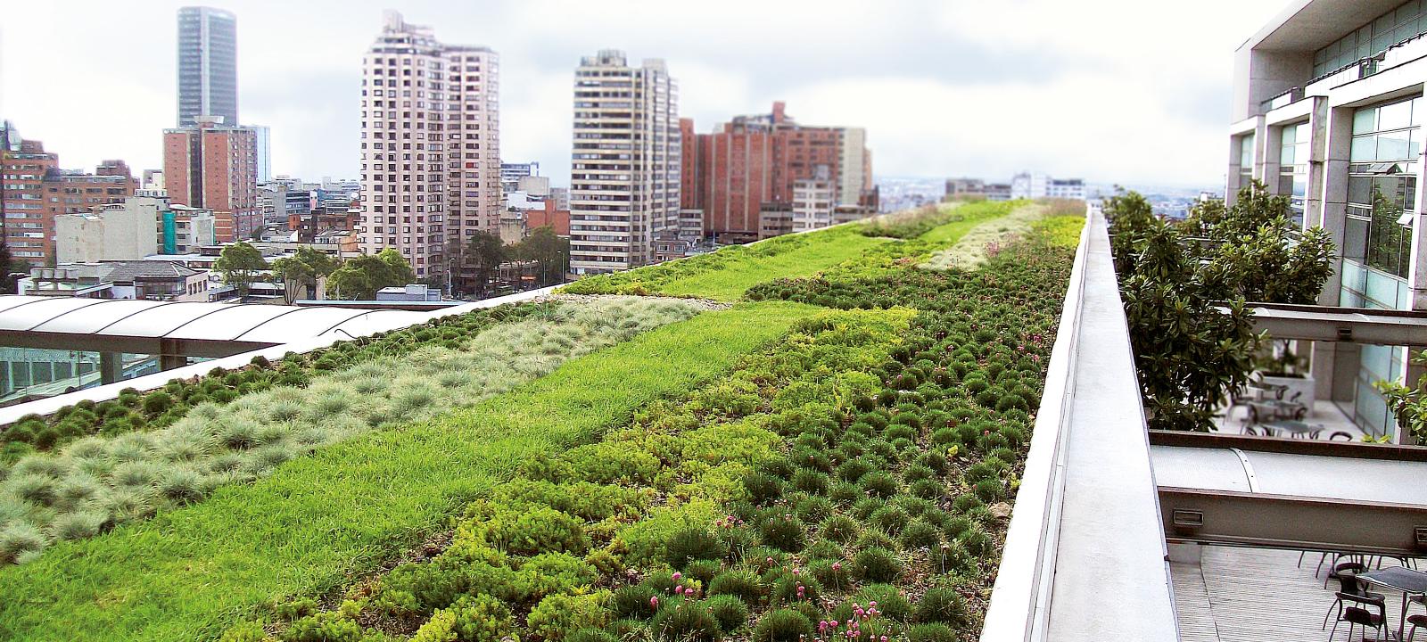 Végétalisation de toit extensiv dans la grande ville