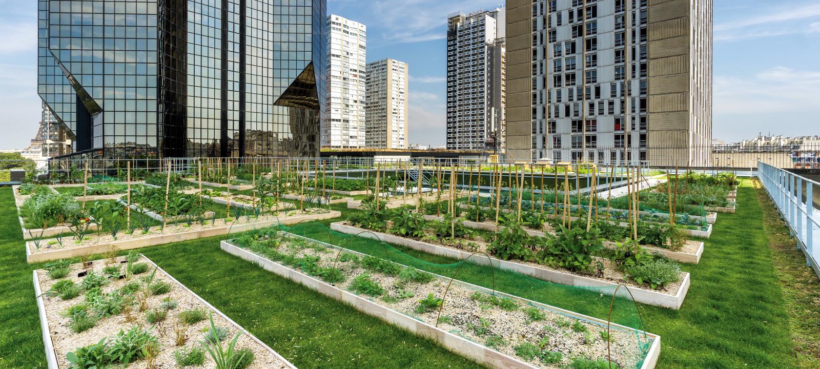 Urban Farming ZinCo.CH