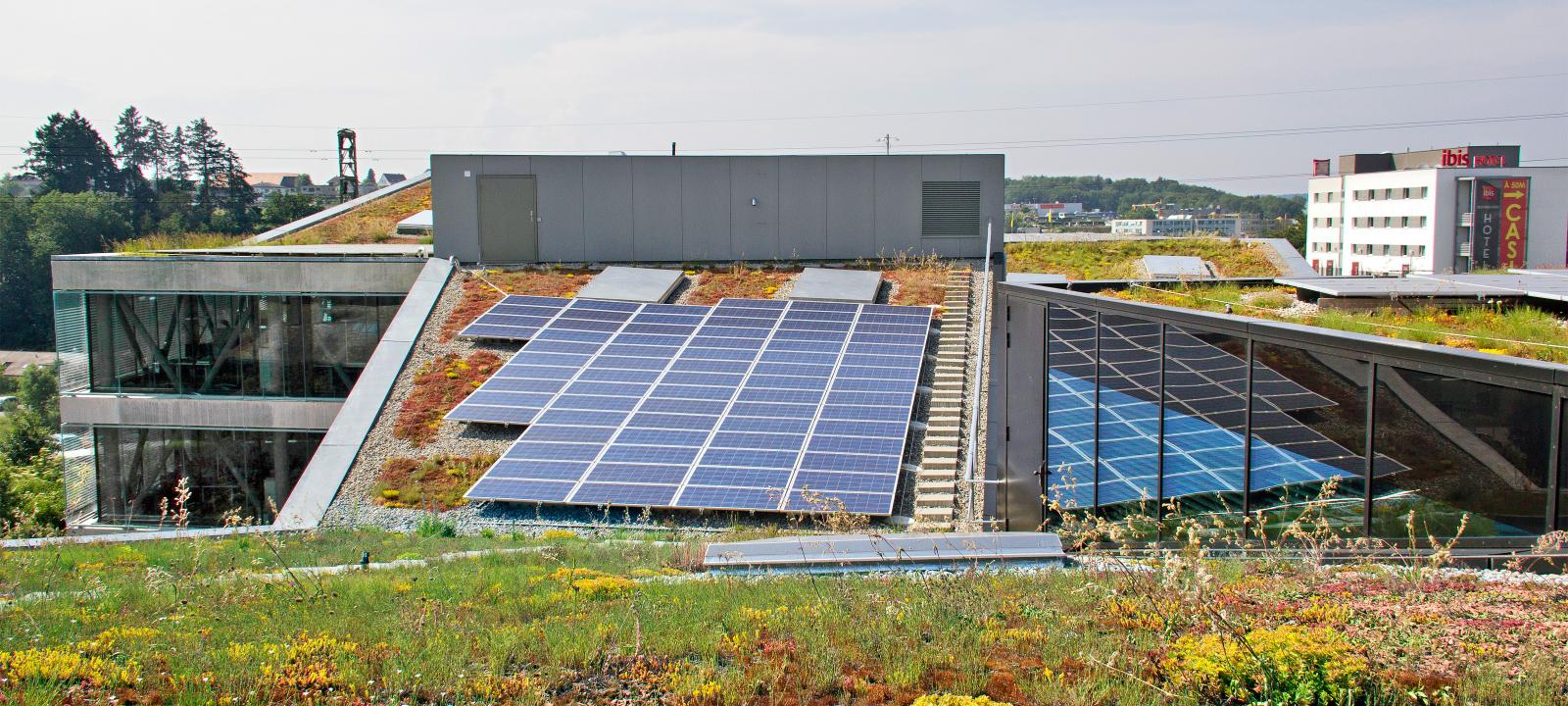Végétalisation de toit et installation solaire