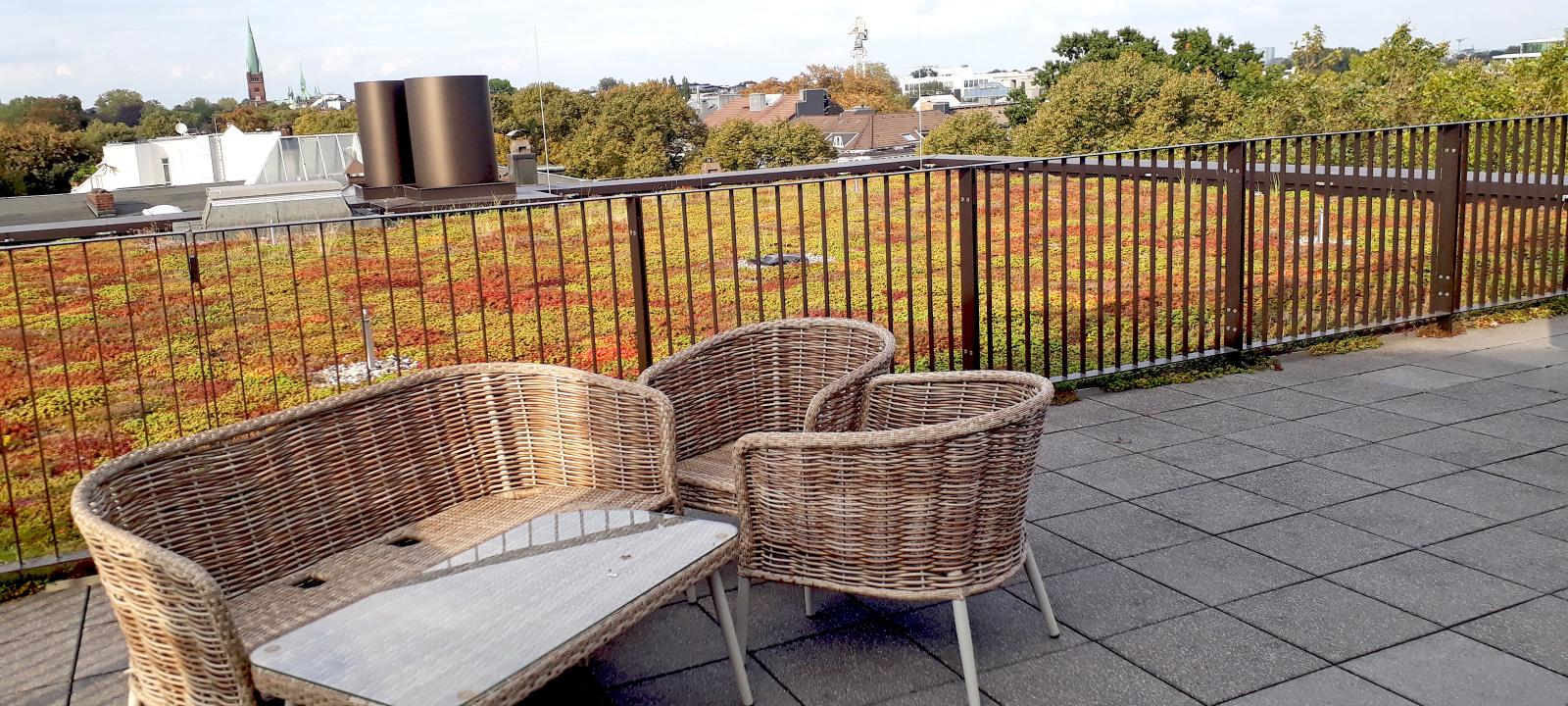 Dachgarten mit Sedum und Terrasse mit Korbstühlen