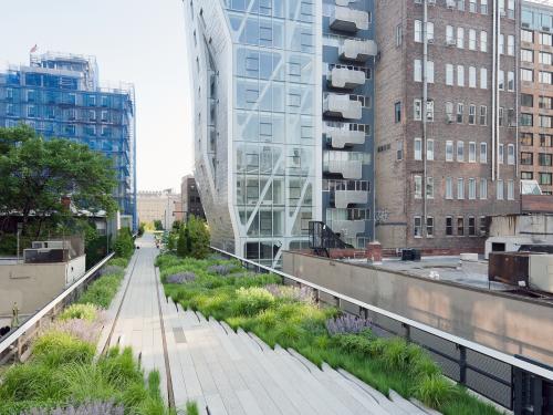 Blühender Dachgarten der „High Line“