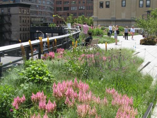 Blühender Dachgarten auf der High Line