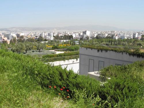 Grosse Parklandschaft mit Olivenbäumen und mediterraner Bepflanzung auf einem Dach