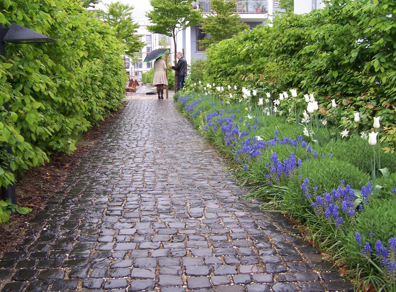 „Blauer Garten“ mit Regenwasserkonzept ZinCo.CH