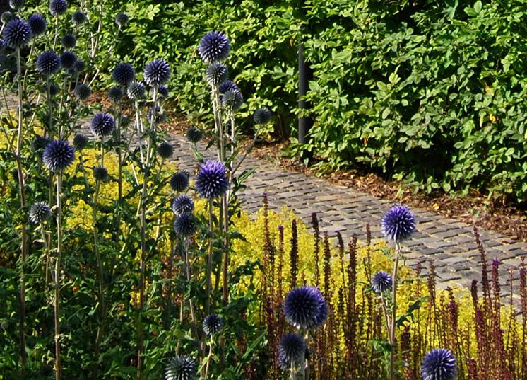 „Blauer Garten“ mit Regenwasserkonzept ZinCo.CH