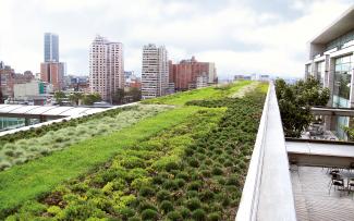 Végétalisation de toit extensiv dans la grande ville
