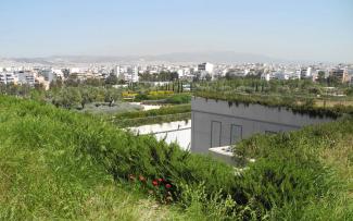 Grosse Parklandschaft mit Olivenbäumen und mediterraner Bepflanzung auf einem Dach