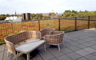 Dachgarten mit Sedum und Terrasse mit Korbstühlen