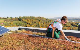 Person mit Fallnet® SB 200-Rail auf einem Gründach mit Photovoltaik
