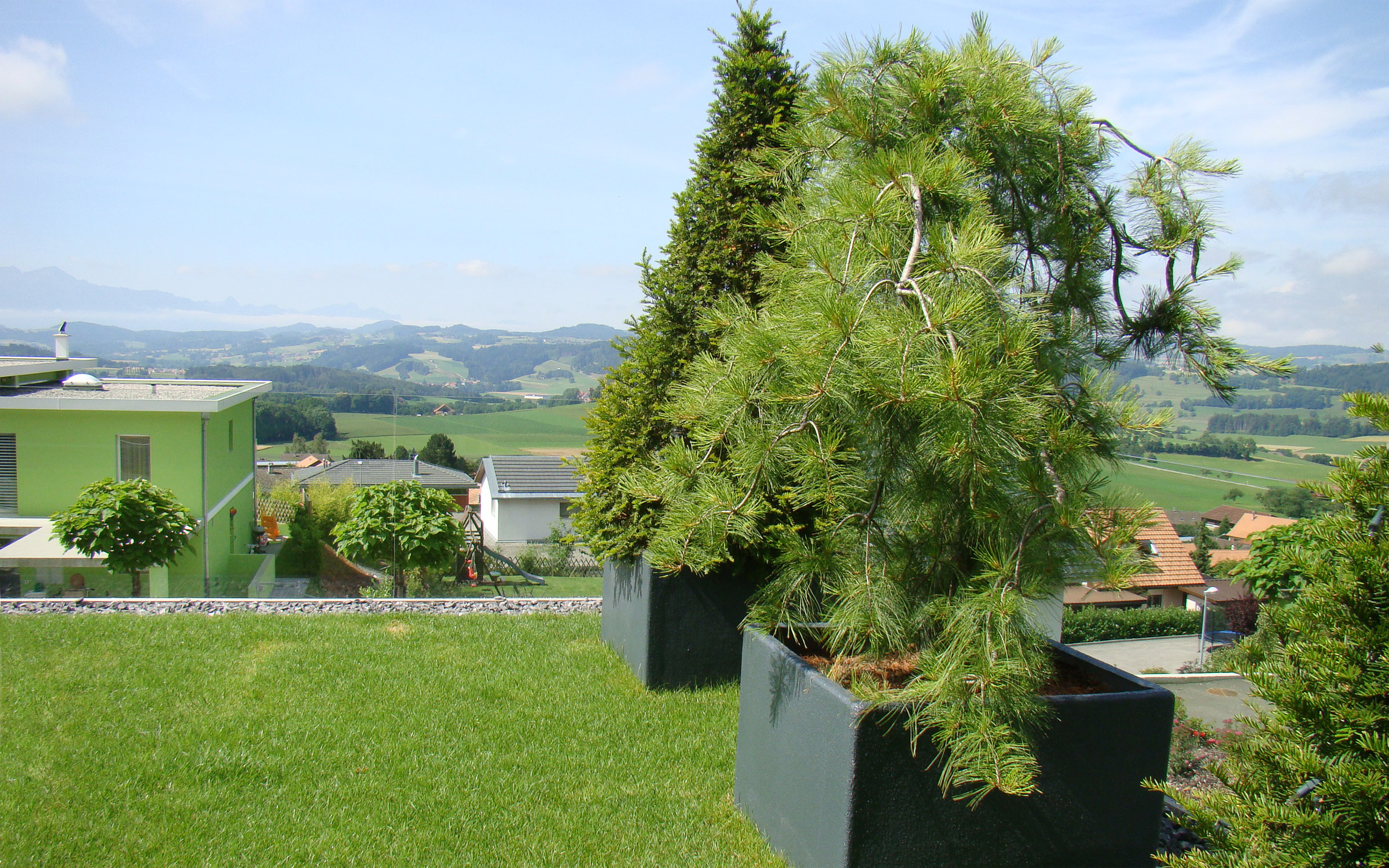 Dachgarten mit Zierpflanzen in großen Kübeln und Rasen