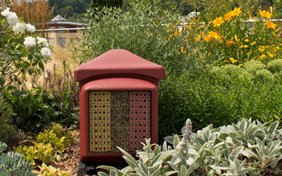 Insekten-Nisthilfe auf einem blühenden Dachgarten