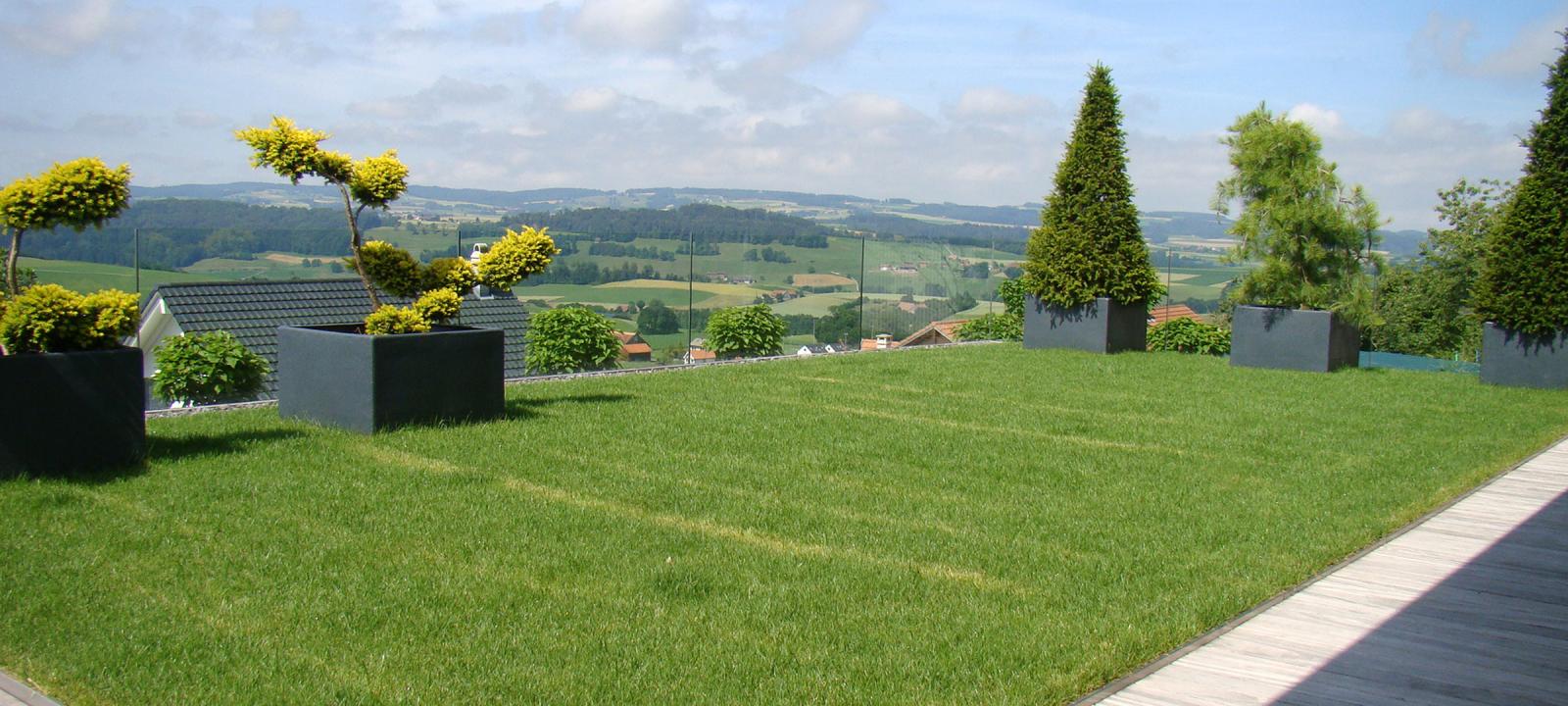 Dachgarten mit Rasenfläche und Ziergehölzen in großen Kübeln