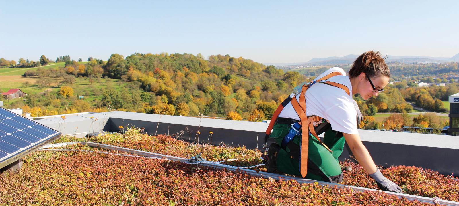 Person mit Fallnet® SB 200-Rail auf einem Gründach mit Photovoltaik