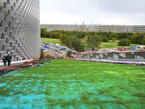 Kunststoffmatten mit hindurchwachsendem Gras auf einem Schrägdach