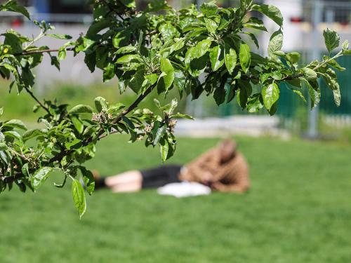 Person liegt auf einer Grasfläche