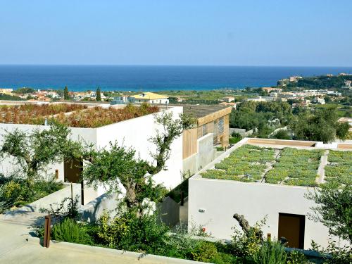 Begrünte Dachflächen, umgeben von Olivenbäumen