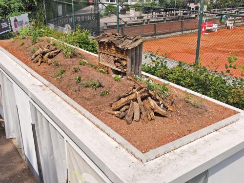 Dach mit Substrat, Jungpflanzen, Totholz und Insektenhotel
