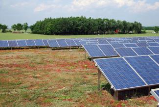 Sedumbegrünung mit Solaranlage auf dem Dach