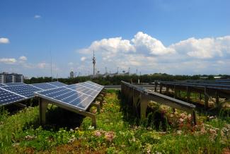 Solaranlage auf einem mit Sedum begrünten Dach