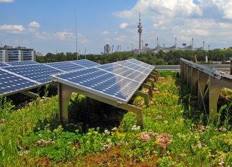 Gründach in Kombination mit einer Solaranlage