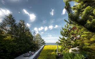 Blick von der Strasse auf das Sedum-Dach