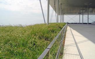 Terrasse grenzt an grosse Fläche mit hohen Gräsern