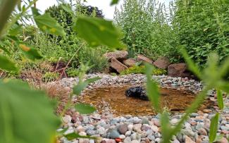 Gründach mit Kies- und Wasserfläche