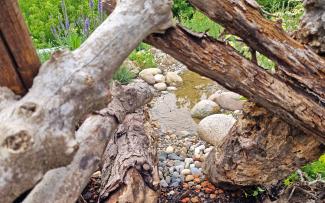 Wasserfläche mit Kies und Totholz auf einem Gründach