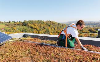 Fallnet® SB 200-Rail sul tetto verde
