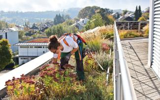 La donna con Fallnet® SR Rail su tetto verde