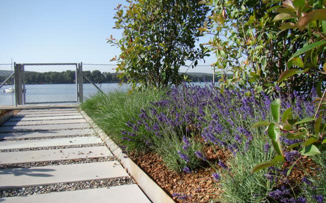 Dachgarten mit Lavendel, Sträuchern und Seezugang